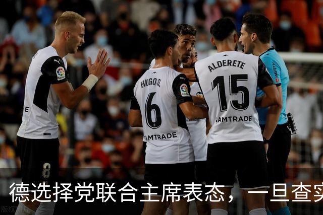 德选择党联合主席表态,一旦查实乌参与北溪管道爆炸,将面临后果