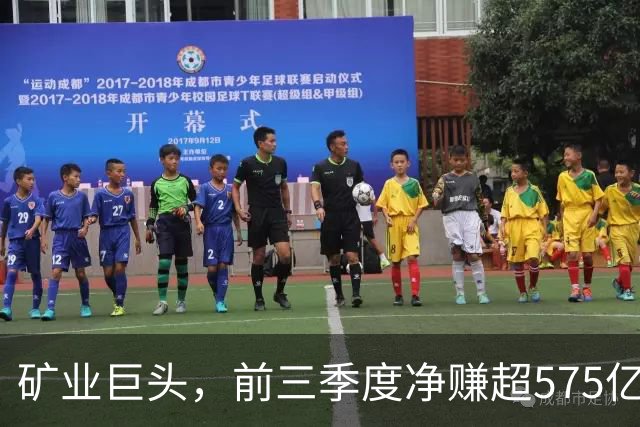 矿业巨头，前三季度净赚超575亿元！
