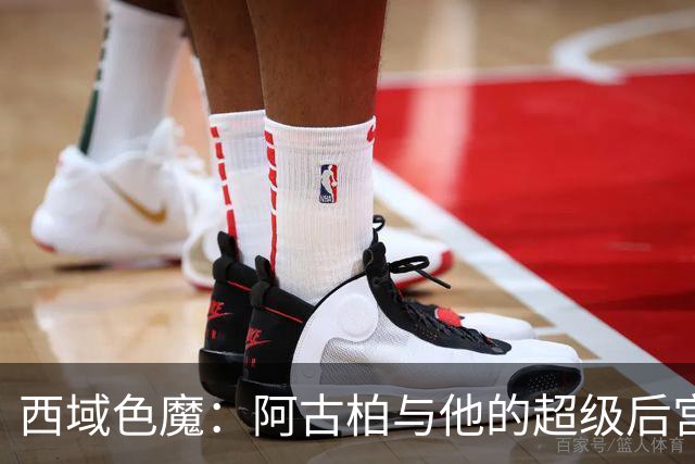 西域色魔：阿古柏与他的超级后宫